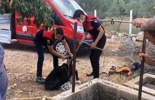 Alev savaşçılarının can kurtarma operasyonu