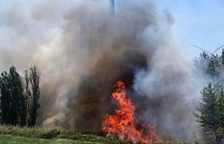 Aliağa’da tarla yangını