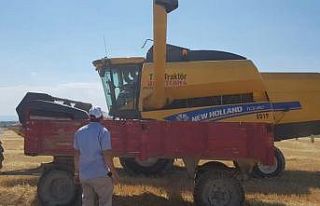 Altıntaş ovasında hasat dönemi sona erdi