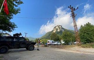 Amanoslarda geniş kapsamlı terör operasyonu