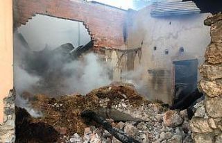 Amasya’da ahır ve samanlık yangını: 13 hayvan...
