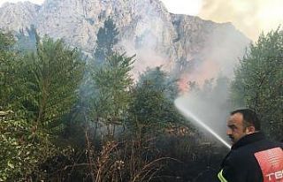 Amasya’da yangın: 5 dönüm alan zarar gördü