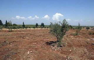 Antalya Orman Çiftliği’nin yapımı başladı