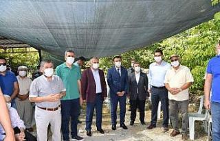 Antalya Vali Yardımcısı Sezgin’in acı günü