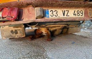 Aracının arızasına bakarken kamyonetin çarpması...