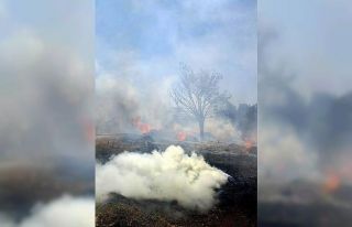 Arazide çıkan yangını itfaiye söndürdü