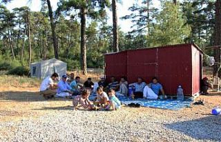 Arılarla ormanlarda geçen yaşamlar