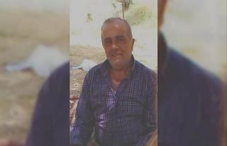 Arının soktuğu çiftçi hayatını kaybetti