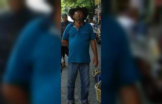 Arının soktuğu kişi hayatını kaybetti