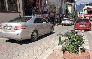 Artvin’de bir grup esnaf cadde üzerindeki çiçekliklere...