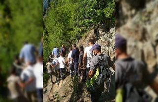 Artvin’de uçuruma düşen kadın hayatını kaybetti