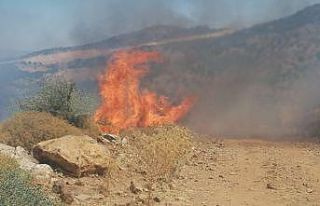 Aydın Büyükşehir Belediyesi’nden Sarıkemer’de...