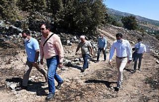 Aydın İl Kültür Müdürü Tuncer’den yangın...