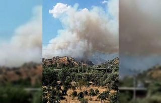 Aydın’da arazi yangını