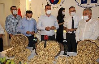 Aydın’da incir üreticisinin depolama sorunu sona...
