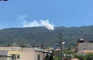Aydın’da orman yangını