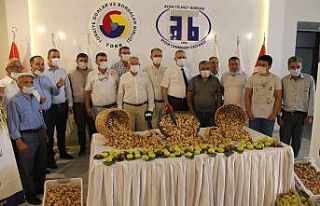 Aydın’da sezonun ilk kuru inciri Borsaya teslim...