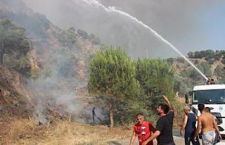 Aydın’daki yangın kontrol altına alındı, soğutma...