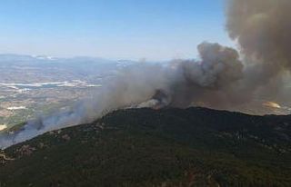 Aydın’daki yangınla ilgili 2 kişi gözaltına...