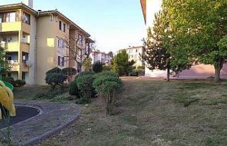 Bahçeşehir’de otlar biçildi