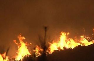 Bakan Pakdemirli yangın bölgesinde