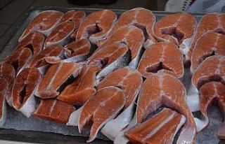 Balık tezgahlarını çiftlik balıkları süslüyor