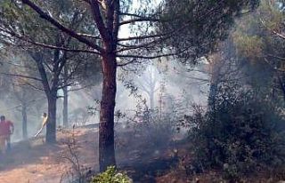 Balıkesir-Susurluk arasında çıkan orman yangını...
