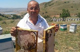 ’Bal’lı sezon