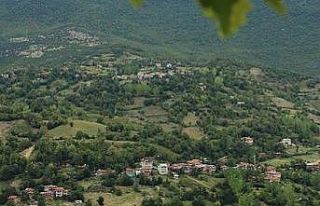 Bartın’da nişan merasimi sonrası köy karantinaya...