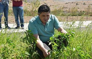 Başkan Acar hafta sonunu çalışanlarla sahada geçirdi