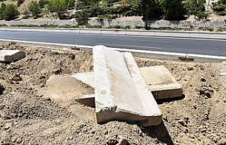 Başkent’te ağaçların kuruma nedeni susuzluk...