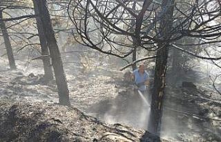 Başkentte korkutan yangın