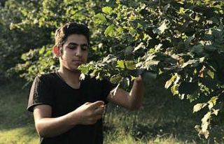Bayramı evlerine bin 285 kilometre uzaklıktaki fındık...