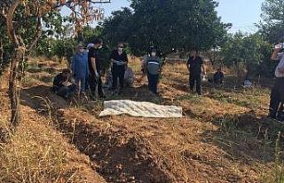 Bekçilik yaptığı portakal bahçesinde ölü bulundu