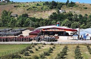 Belediyenin ortağı olan şirkette akıl almaz hırsızlık:...