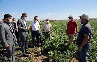 Beşkarış barajı bölgeye can suyu