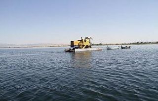 Beyşehir Gölü’nde yüzdürülerek adaya götürülen...