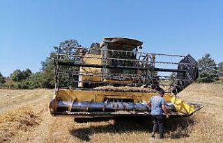 Bilecik’te hasat başladı, yolculuk ambarlarda...
