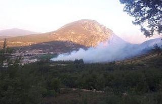Bilecik’te orman yangını