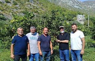 Bitki besleme ve akdeniz sineği zararlısına dikkat