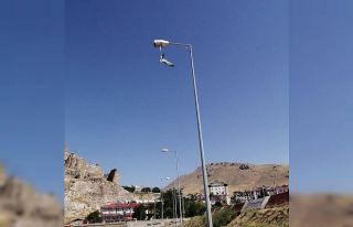 Bitlis’te yere atılan maske martının ayağına...