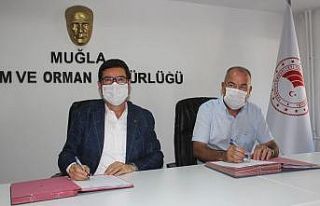 Bodrum ve Milas’ta deniz kıyılarını, kültür...