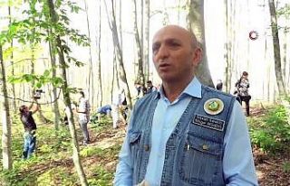 Bölge Müdürü Keskin: "Orman yangınlarıyla...