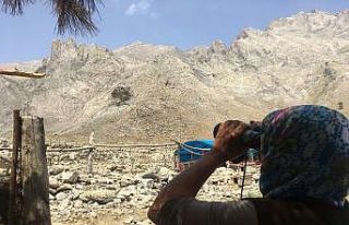 Bolkar Dağları göçer Yörüklere emanet