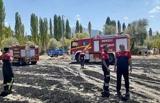 Buğday ekili arazi yangının ardından küle döndü