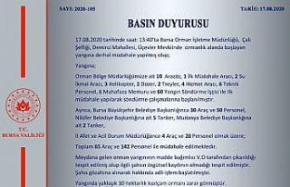 Bursa Valiliği’nden yangın açıklaması