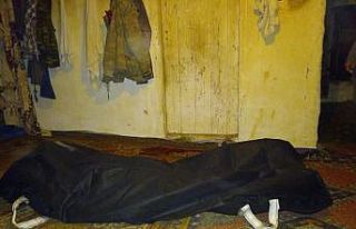 Bursa’da kardeşini öldüren ağabey: Cinsel organını...