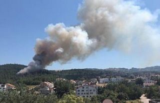 Bursa’da orman yangını...Alevler villalara yaklaşıyor