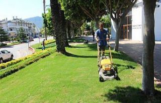 Büyükşehir, Kemer’de yeşil alanların bakımını...