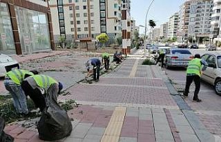 Büyükşehir’den yabani ot temizliği